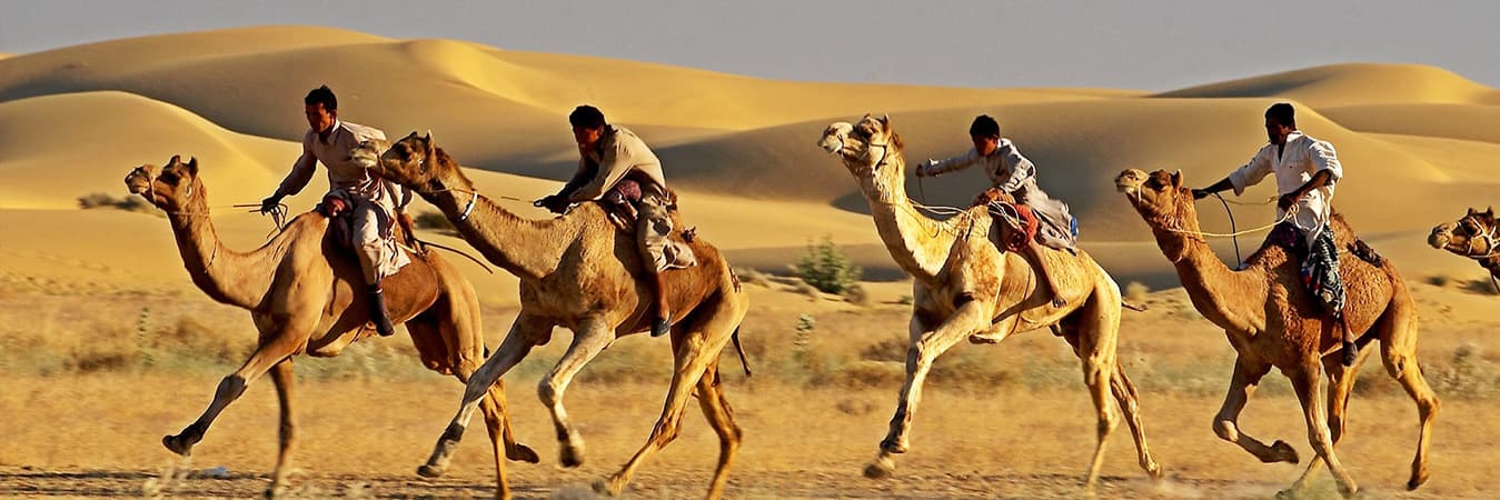 Camel Fair, Taj Mahal and Rajasthan Tour