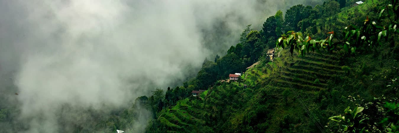 Darjeeling And Gangtok, A Day Hike