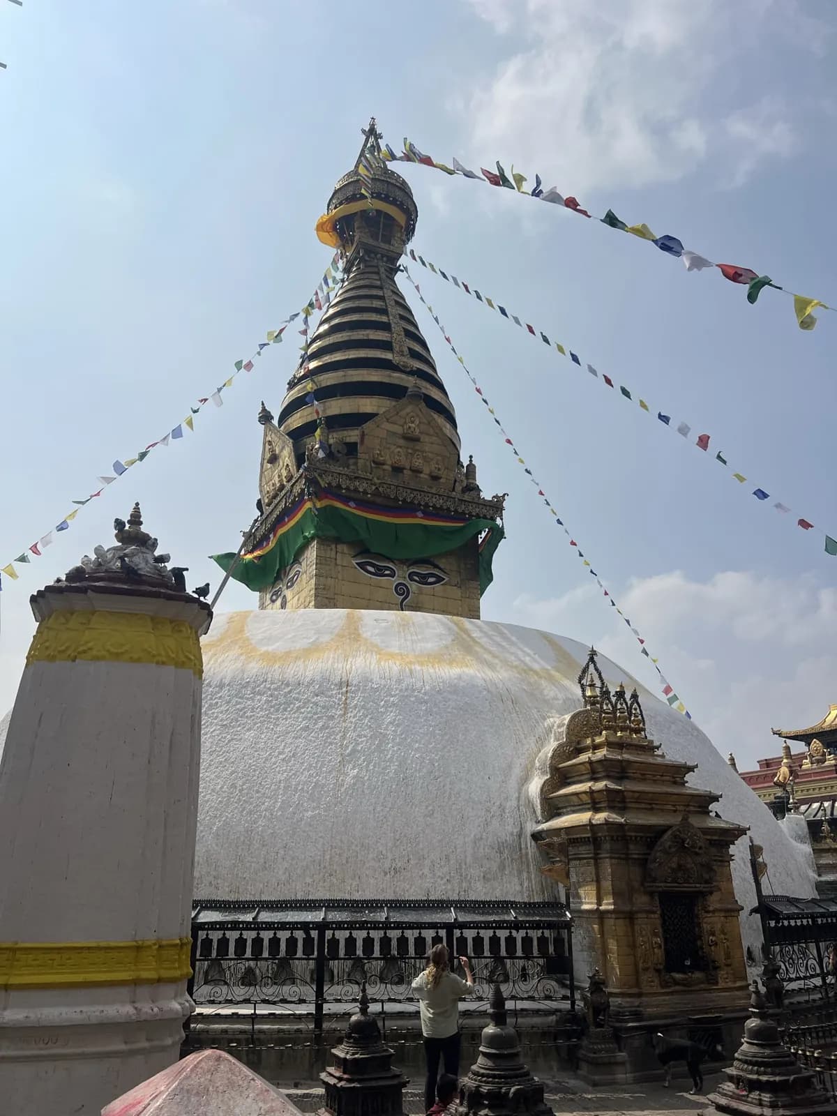 Day 11, Fly back to Nepalgunj and continue to fly Kathmandu, photo 2 of 3